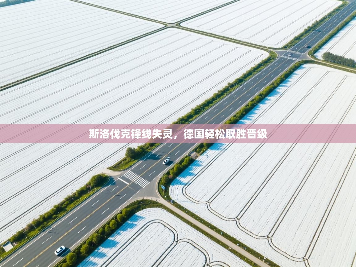 斯洛伐克锋线失灵，德国轻松取胜晋级  第2张