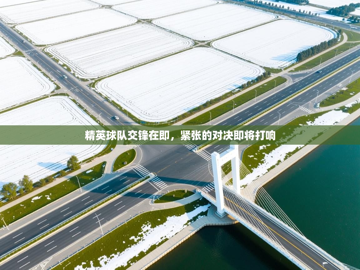 精英球队交锋在即，紧张的对决即将打响  第1张