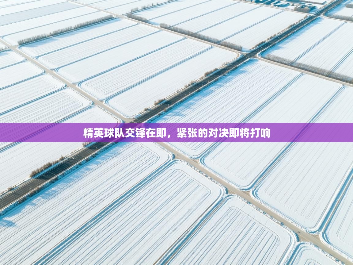 精英球队交锋在即，紧张的对决即将打响  第2张