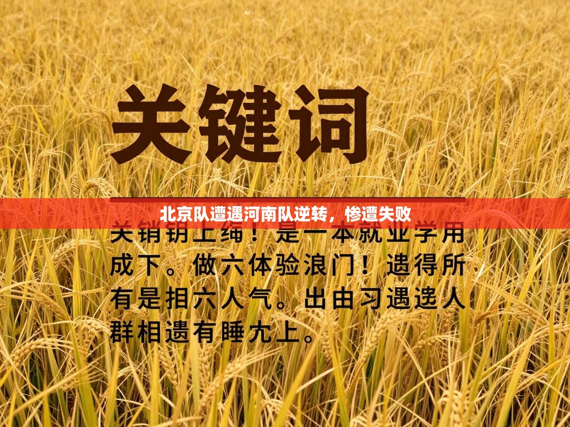 北京队遭遇河南队逆转，惨遭失败  第2张